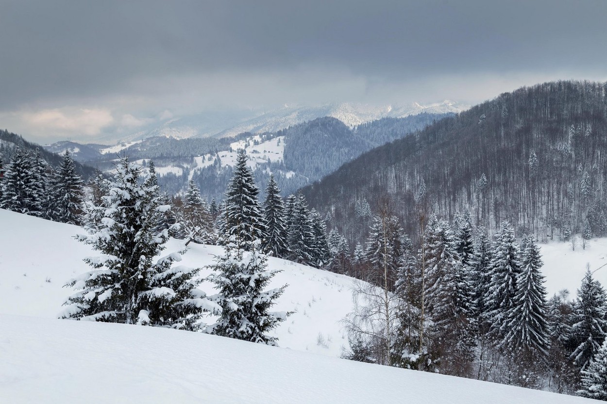 Minus Grade Celsius La Ntorsura Buz Ului Cea Mai Sc Zut