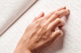 Ziua mondială Braille