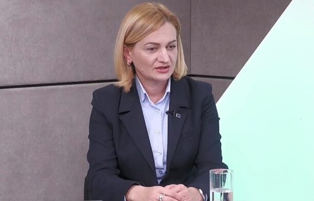 Preşedinta Comisiei de Politică Externă a parlamentului de la Chişinău, Doina Gherman