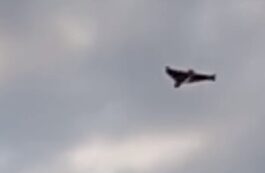 Apărarea aeriană ucraineană susţine că a distrus 28 din cele 31 de drone lansate de Rusia