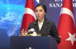 Hafize Gaye Erkan