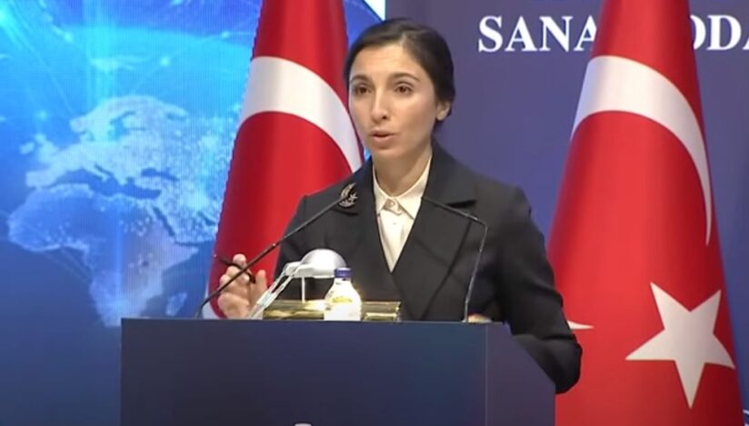 Hafize Gaye Erkan
