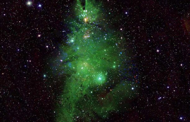 NASA a lansat în spațiu imagini cu un pom de Crăciun / captura video