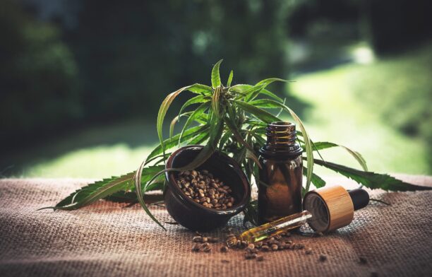 Germania legalizează consumul de canabis / Foto: Pixabay