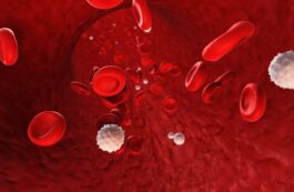 Celule albe și roșii în fluxul sangvin
