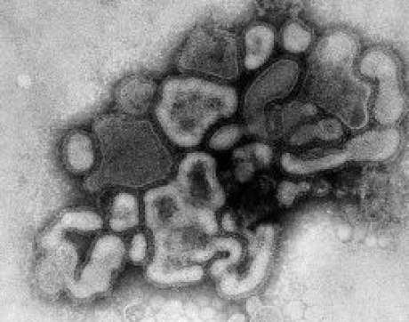 O femeie a murit de gripă la Siubiu
