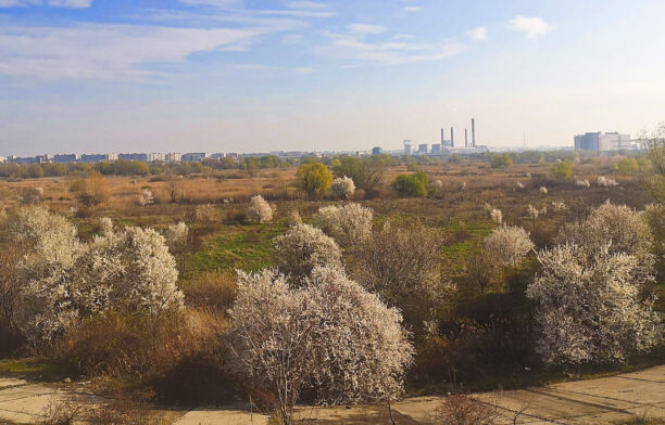 Ecologizarea Parcului Văcăreşti / Sursa foto: Facebook, Administrația Parcului Văcărești