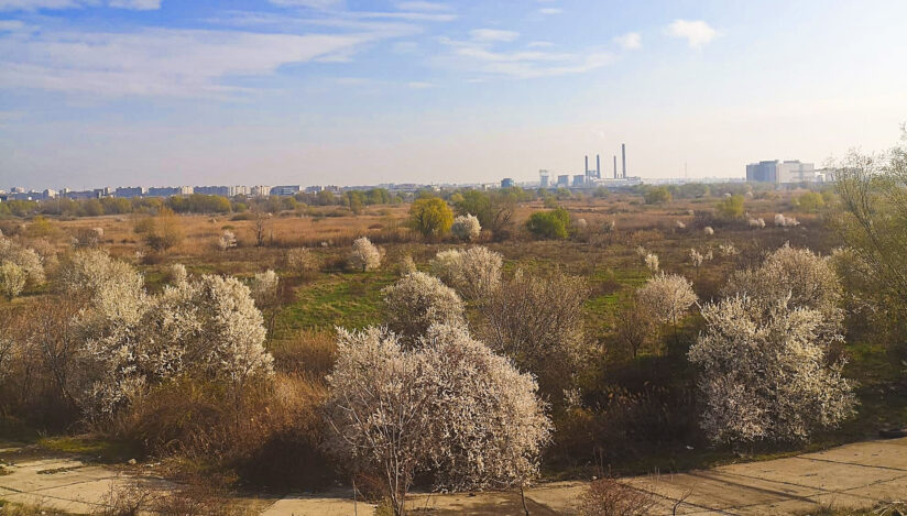 Ecologizarea Parcului Văcăreşti / Sursa foto: Facebook, Administrația Parcului Văcărești