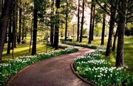 Parcul Lunca Argeșului, din Pitești. Sursa foto: Primaria Municipiului Pitesti