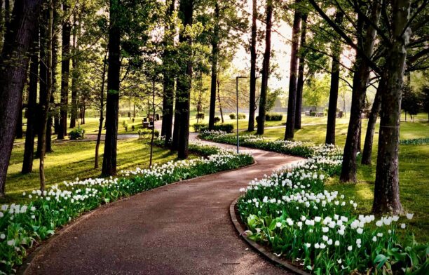 Parcul Lunca Argeșului, din Pitești. Sursa foto: Primaria Municipiului Pitesti