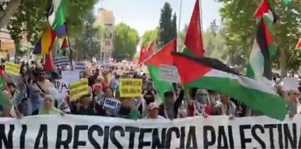 Câteva mii de persoane, purtând pancarte şi bannere în sprijinul palestinienilor, au mărşăluit sâmbătă la Madrid