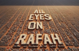 All eyes on Rafah / captură Instagram shahv4012