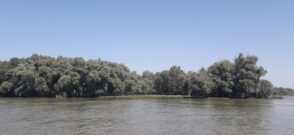 Delta Dunării