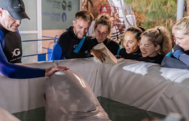 Două beluga, salvate din Ucraina / Sursa foto: Facebook, Oceanográfic, Valencia