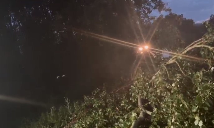 Botoşani: Un copac rupt de vânt s-a prăbuşit peste acoperişul spitalului din Darabani