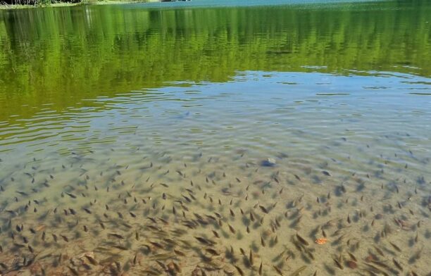 Lacul Sfânta Ana
