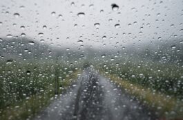 Precipitaţii / Profimedia Images