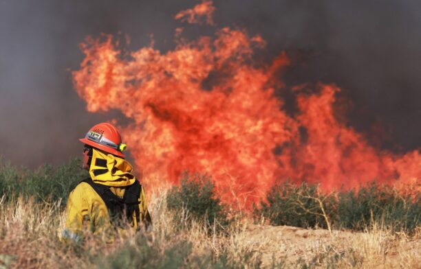 Incendiu California / Profimedia Images