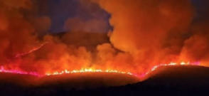 Incendii în Albania / Albanian Daily News