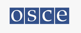 Eoghan Murphy (OSCE): Luni va fi prezentat un raport preliminar privind turul al doilea al alegerilor