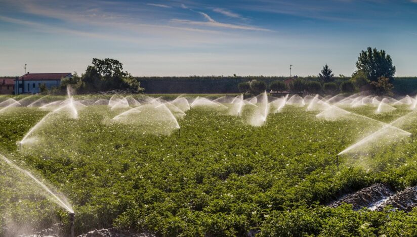 Apă pentru irigații. Sistem de irigații pentru culturile agricole. Sursa foto: Profimedia Images