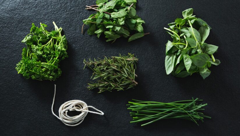 Plante aromatice. Sursa foto: Profimedia Images