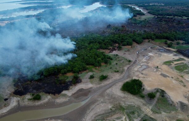 Incendii în pădurea amazoniană. Sursa foto: Profimedia Images