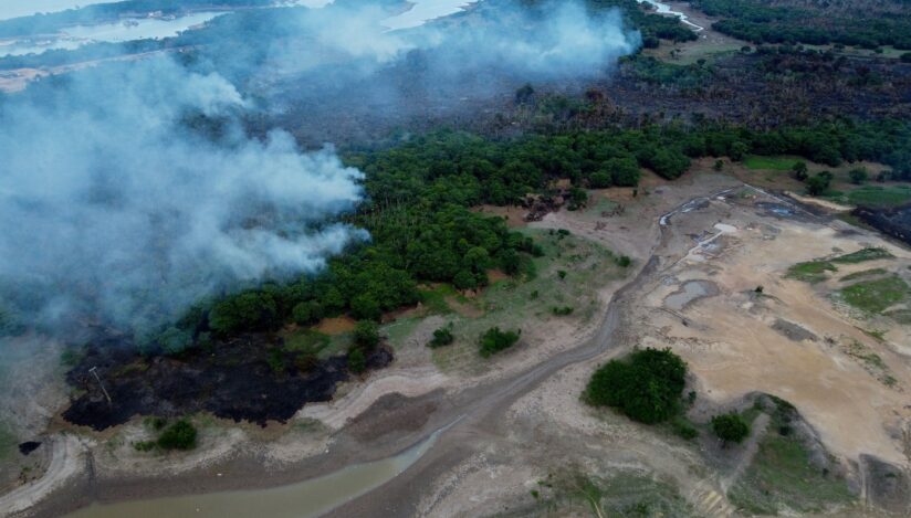 Incendii în pădurea amazoniană. Sursa foto: Profimedia Images