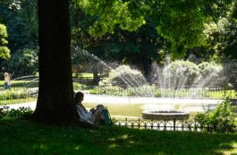 Caniculă, Polonia / Prodimedia Images