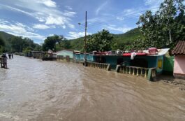 Uraganul Beryl / Profimedia Images