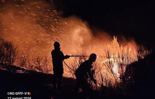 Pompieri români luptă cu incendiile din Grecia. Sursa foto: IGSU - Inspectoratul General pentru Situatii de Urgenta, Romania