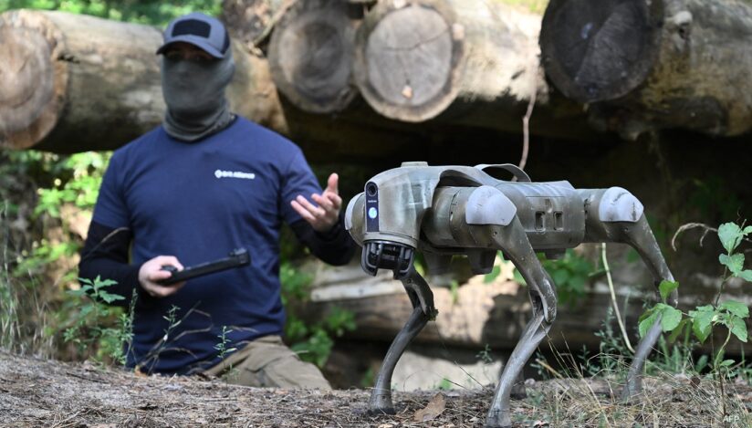 Câine robot / Voice of America