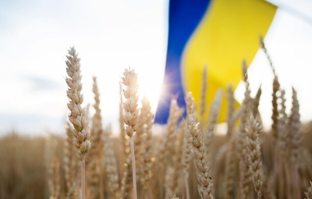 Cereale din Ucraina. Drapelul Ucrainei. Sursa foto: Profimedia Images