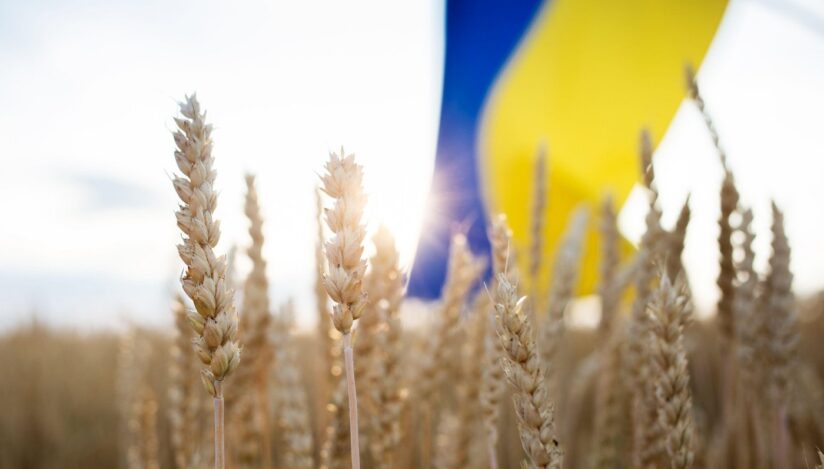 Cereale din Ucraina. Drapelul Ucrainei. Sursa foto: Profimedia Images