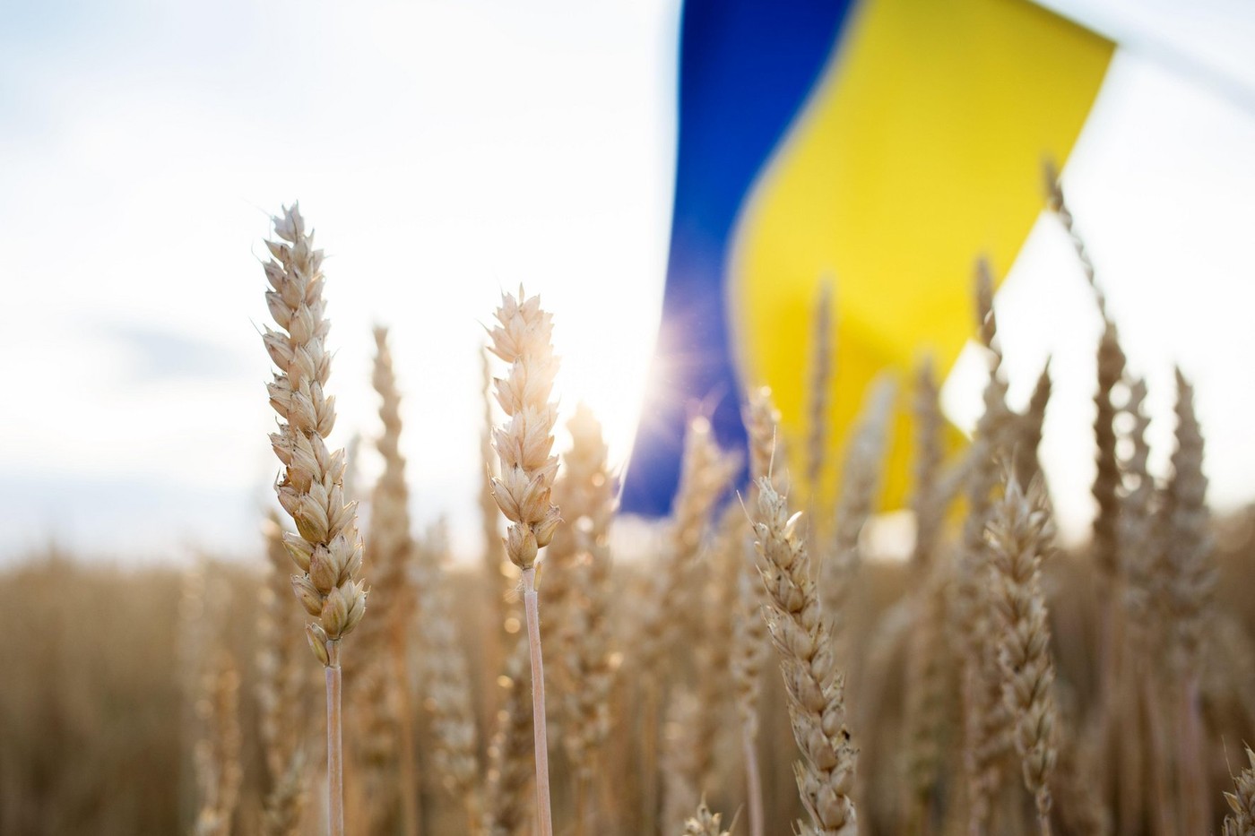 Europa deschide porțile pentru agricultura ucraineană