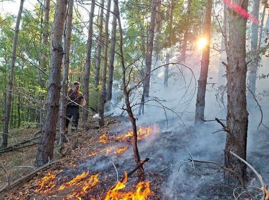 Incendiu de vegetație. Sursa foto: ISU Mehedinți