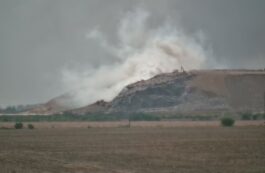 Foto Asociatia Civica Iar Miroase