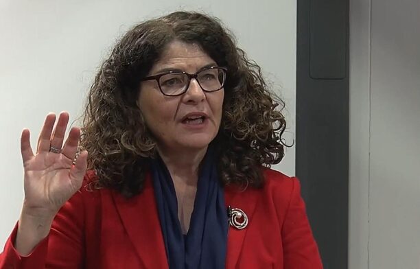 Ministrului britanic al poliţiei şi combaterii infracţionalităţii, Diana Johnson / captura video