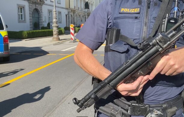 Poliția germană. Polițist german. Sursa foto: Profimedia Images