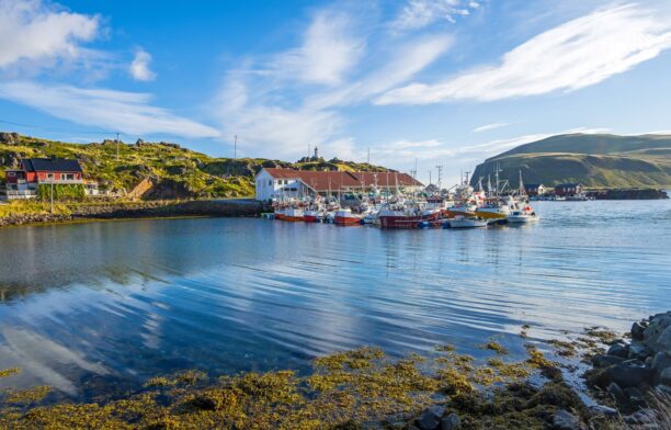 Norvegia / Profimedia Images