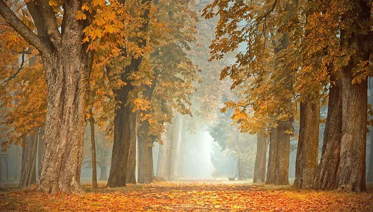 Temperaturi în creştere uşoară, până pe 15 noiembrie; alternanţă de zile calde şi reci după această dată