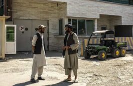 Ambasada Olandei, Kabul / captura video