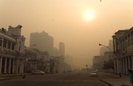 Poluare în New Delhi. Sursa foto: Profimedia Images