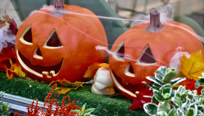 Halloween / Profimedia Images