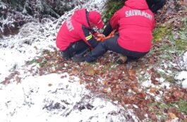Misiune de salvare pe munte. Sursa foto: Salvamont Argeș
