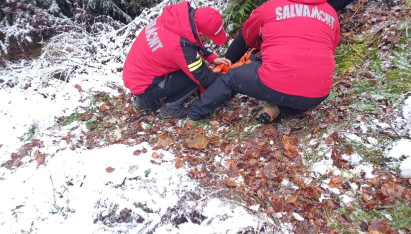 Misiune de salvare pe munte. Sursa foto: Salvamont Argeș