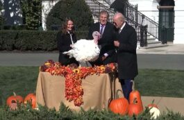 Joe Biden a graţiat curcanii Peach şi Blossom / captura video