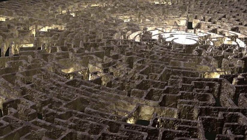 Un grup de furnici a surclasat oamenii la testul labirintului – studiu ...