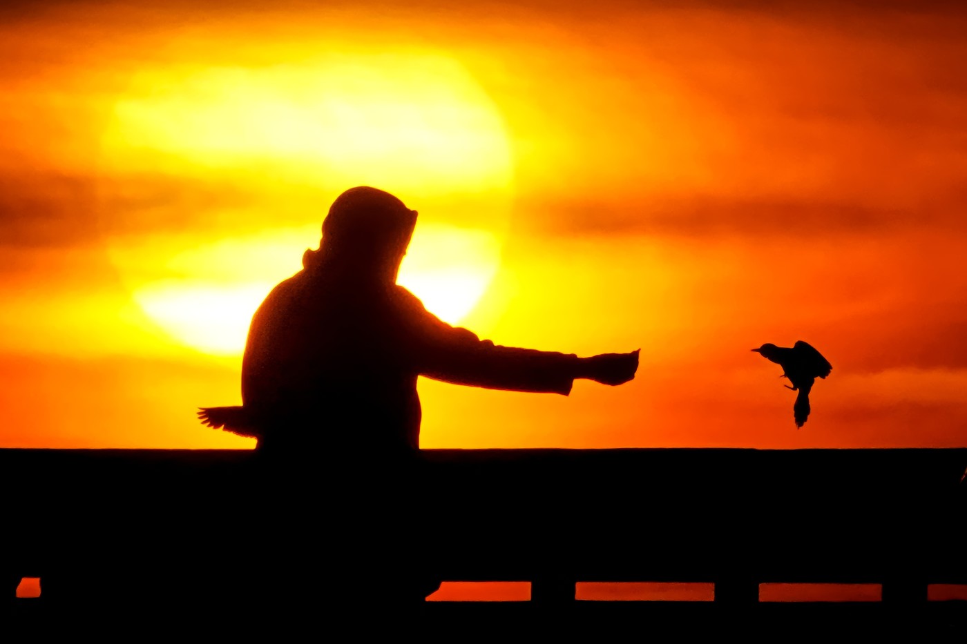 Proteste violente la COP30, conferinţa anuală a ONU privind schimbările climatice, care are loc în Brazilia