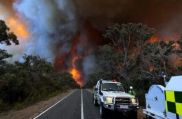 Incendiu în Parcul Naţional Grampians, Australia. Sursa foto: Profimedia Images
